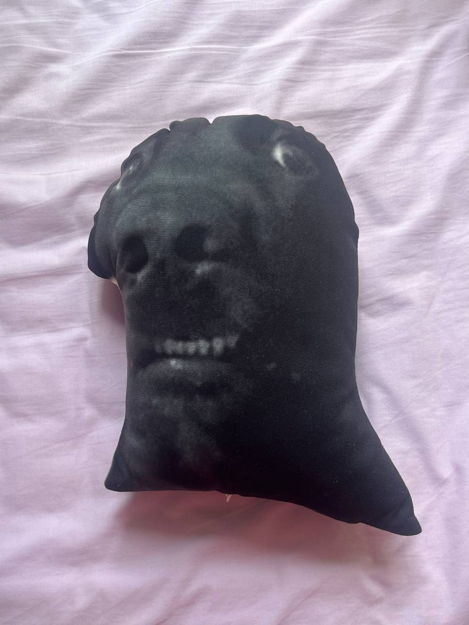 Shocked dog plushie -- meme series (without white edge)