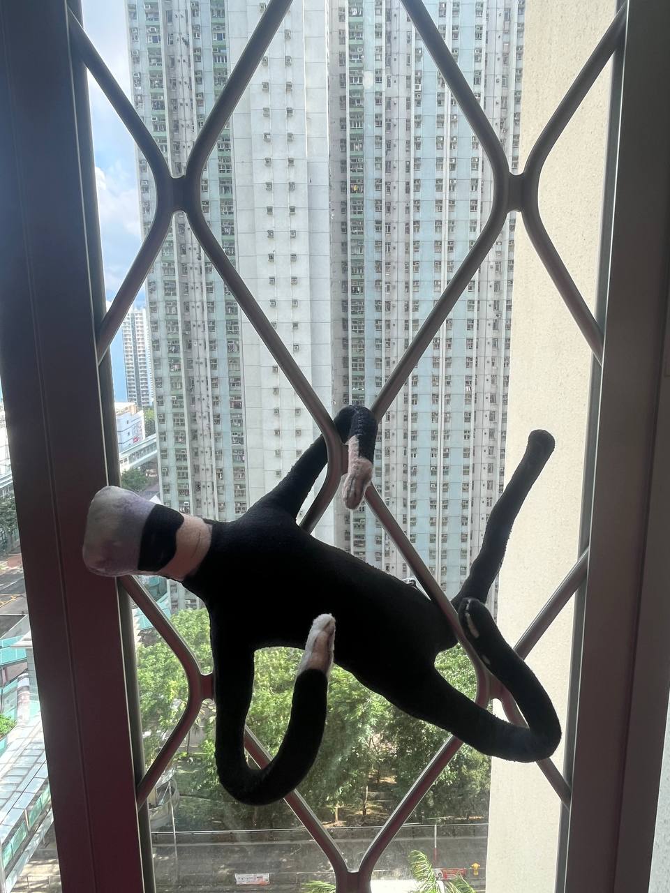 Customised Plushie with bones — Made Just For You
